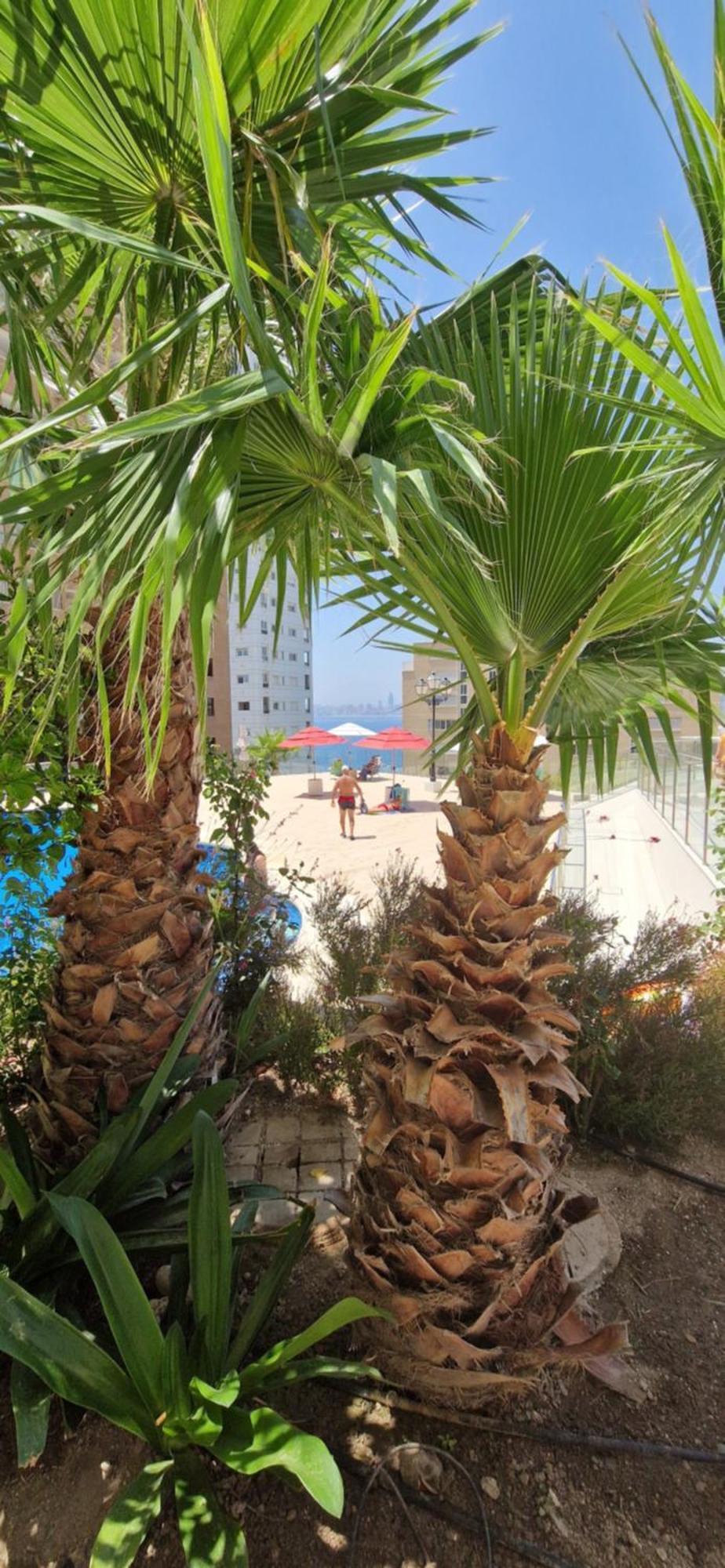 Nice Stay Trinisol 2 Benidorm Exterior foto